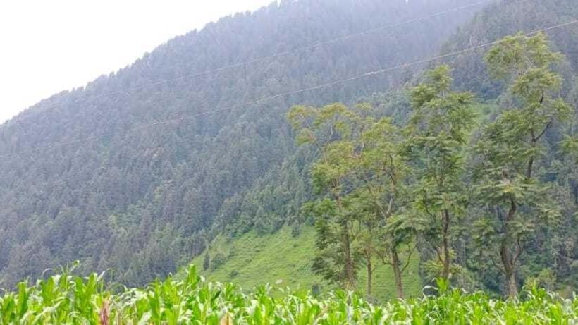 膳宿费 Oyo Home Jia Lal Homestay