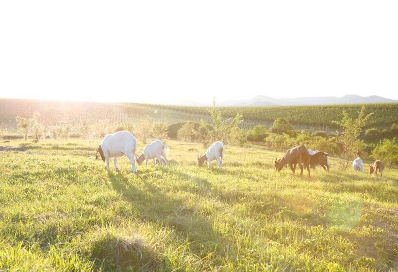 פנסיון Penzion Pod Hazmburkem