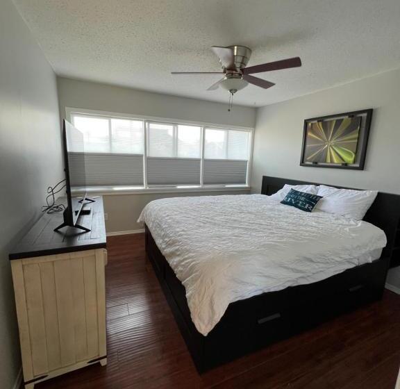 פנסיון River House