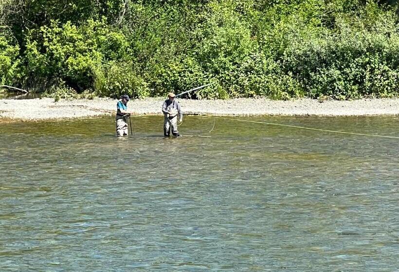 פנסיון River House