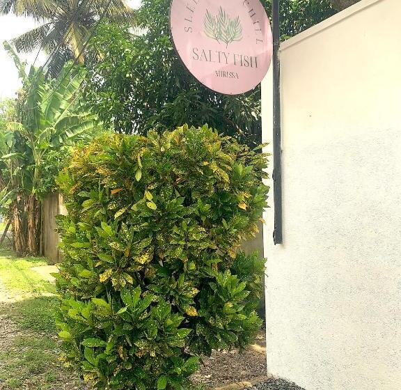 膳宿费 Salty Fish Mirissa