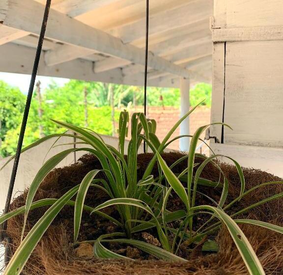 膳宿费 Salty Fish Mirissa