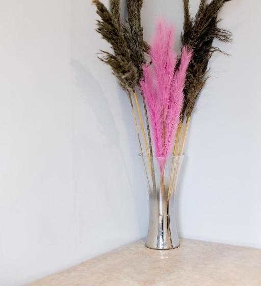 פנסיון So Fresh