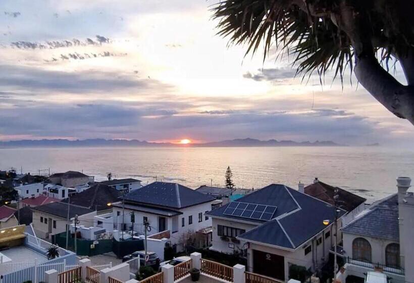 بنسيون The Dragon Tree Guesthouse