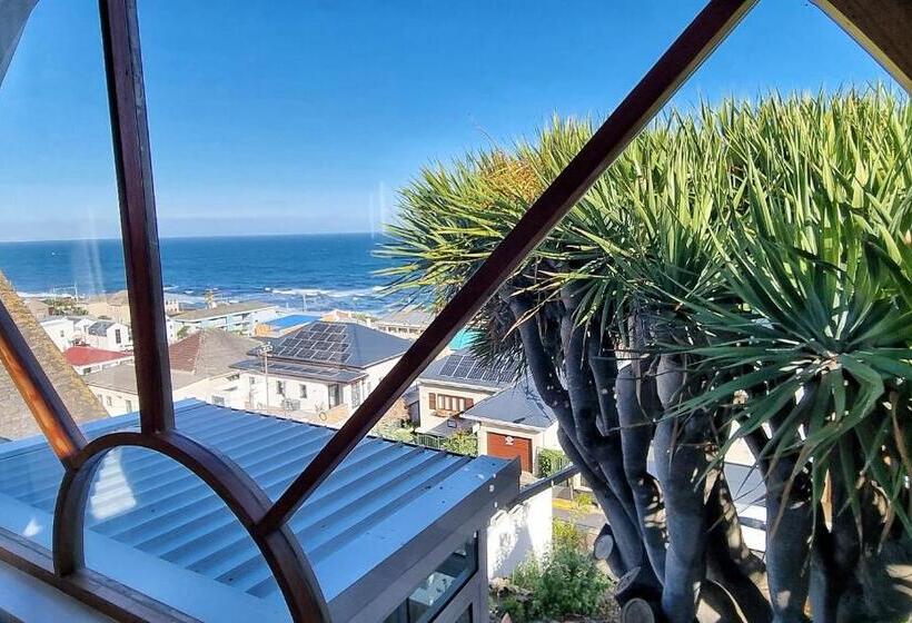 بنسيون The Dragon Tree Guesthouse