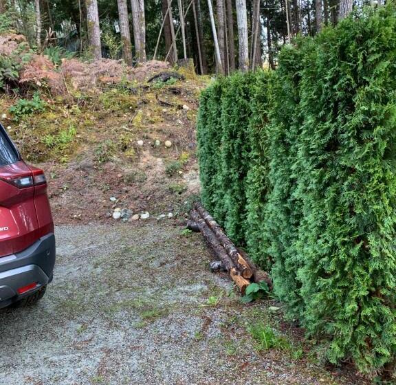 膳宿费 The Sand Box