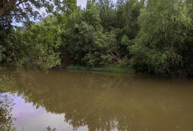 膳宿费 Waterfront Haven   Sleeps 19   Home Cinema   Dock   Weatherford Tx