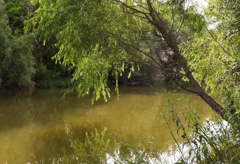 膳宿费 Waterfront Haven   Sleeps 19   Home Cinema   Dock   Weatherford Tx