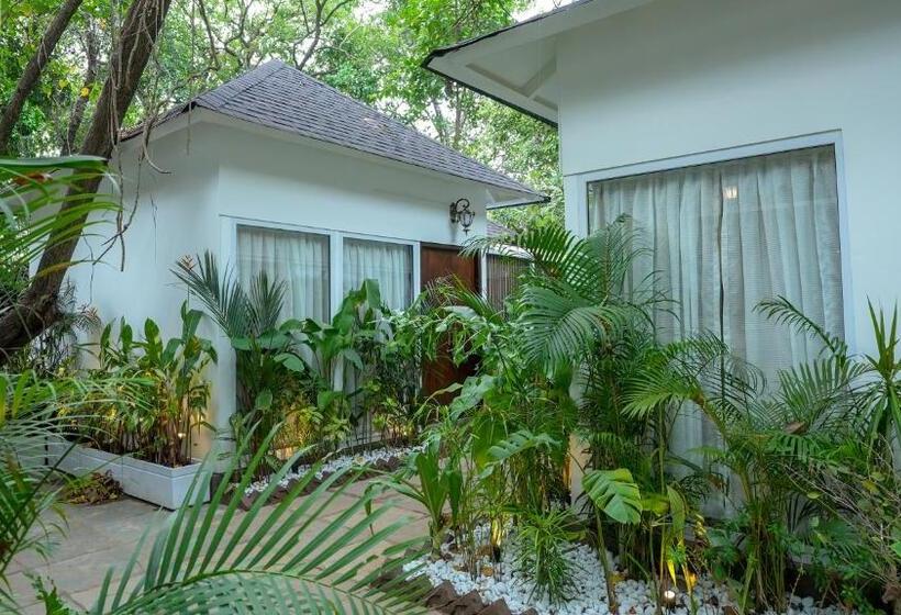 אתר נופש Swimup   Suites With Private Pool , Vagator