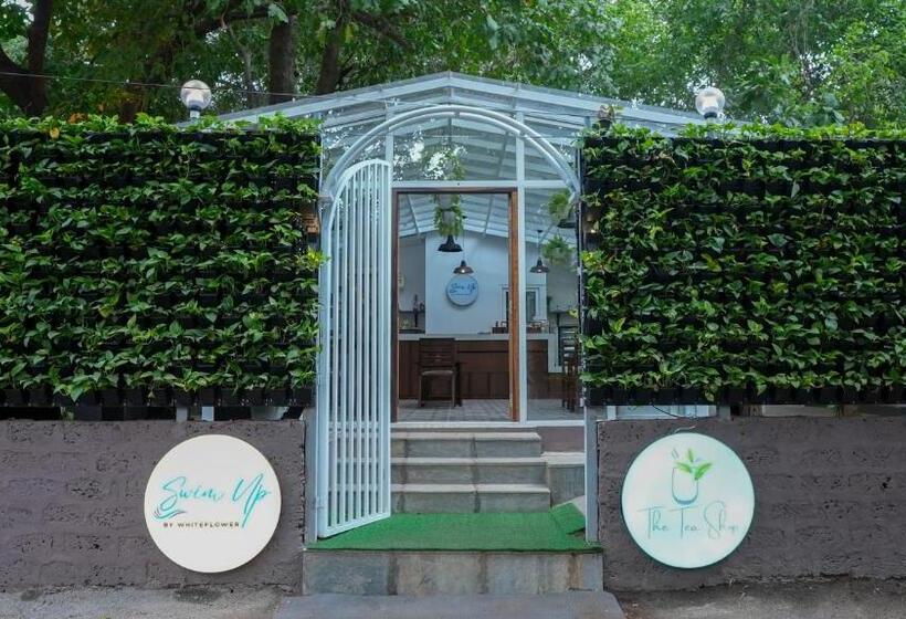 Lomakeskus Swimup   Suites With Private Pool , Vagator