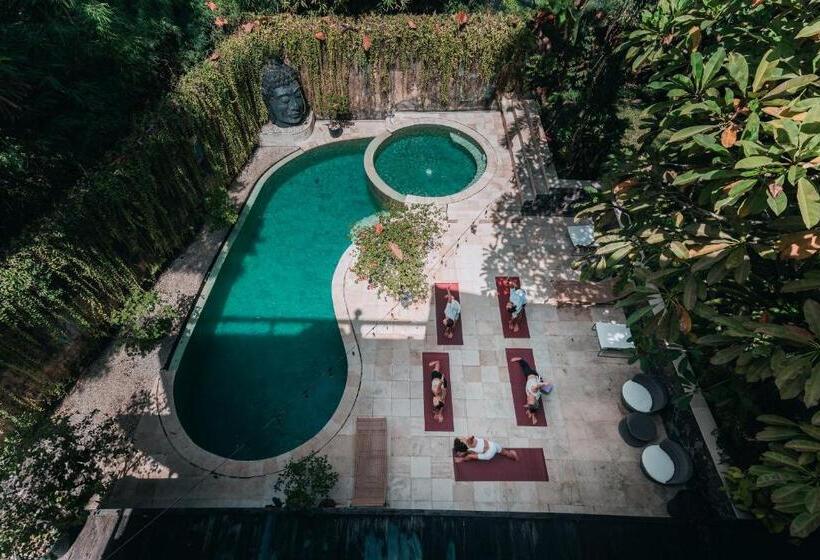 فندق صغير Sattva Yoga Retreat Villas