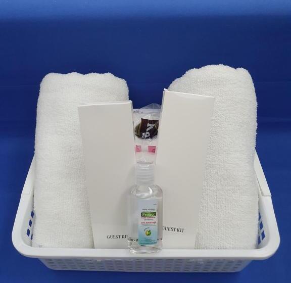 Amaia Steps Capitol Central N814