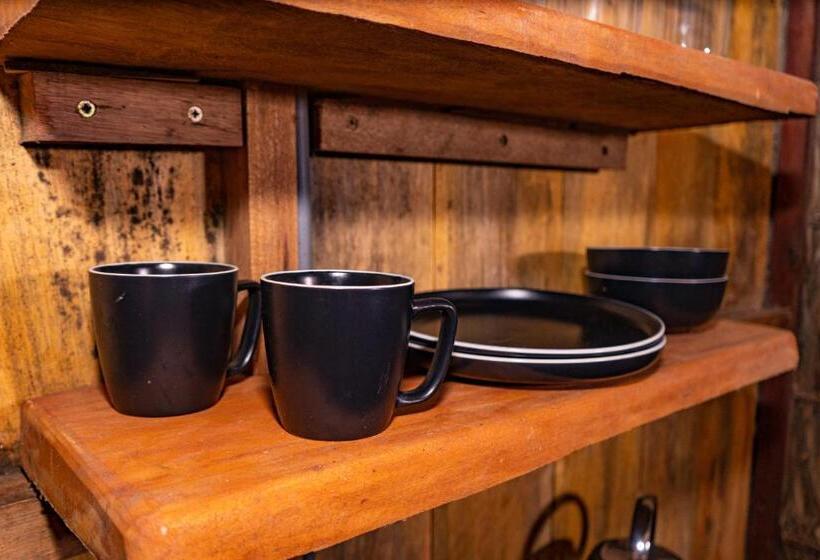 Aparthotel Ayahuaska For Solo Travelers