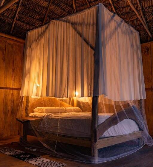 Aparthotel Ayahuaska For Solo Travelers