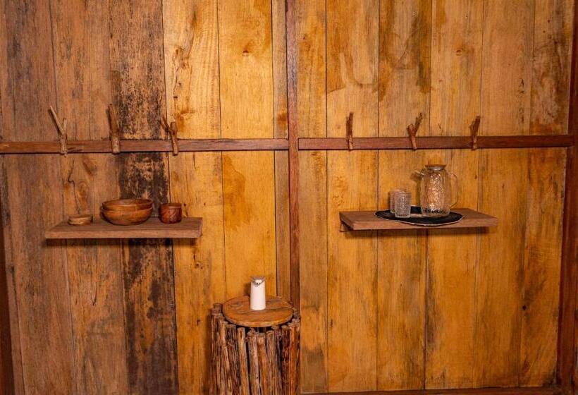 Aparthotel Ayahuaska For Solo Travelers