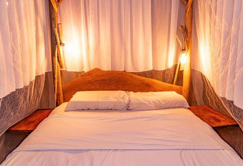 Aparthotel Ayahuaska For Solo Travelers