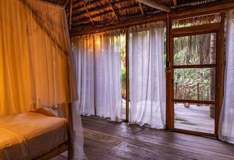 Aparthotel Ayahuaska For Solo Travelers