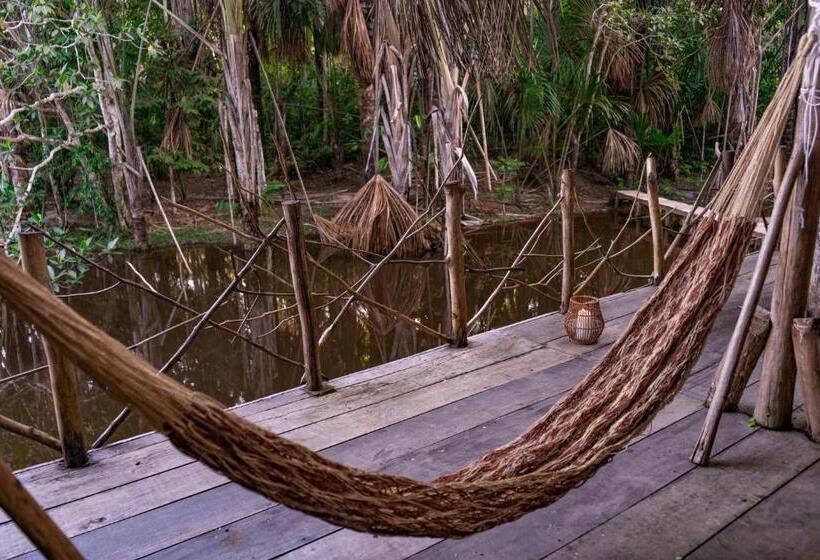 Aparthotel Ayahuaska For Solo Travelers