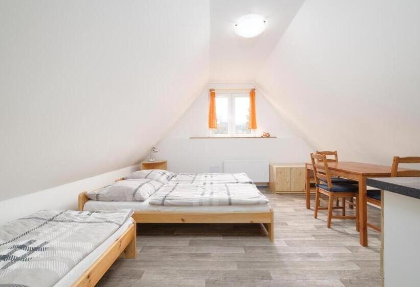 Apartmány Klínovec   Penzion Jonas