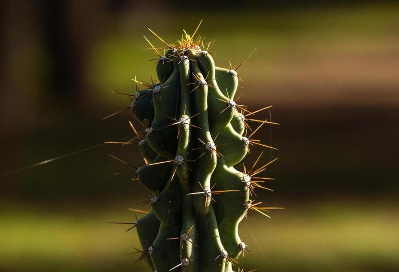 Araoz De Lamadrid Hotel&bodega