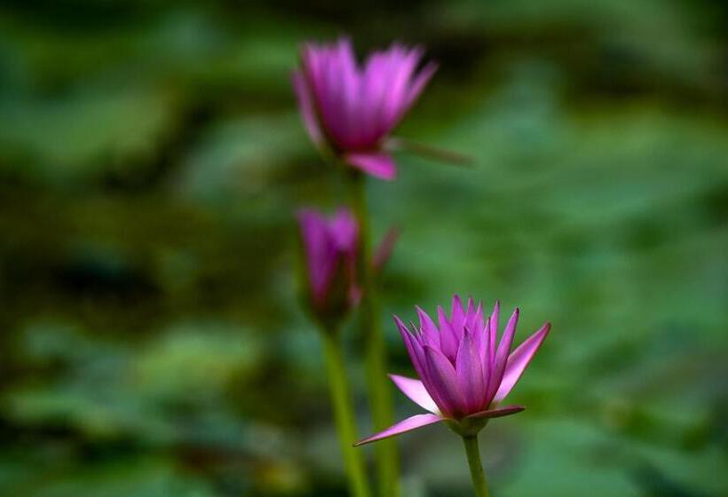 Araoz De Lamadrid Hotel&bodega