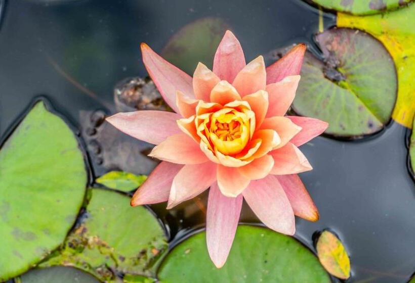 Araoz De Lamadrid Hotel&bodega