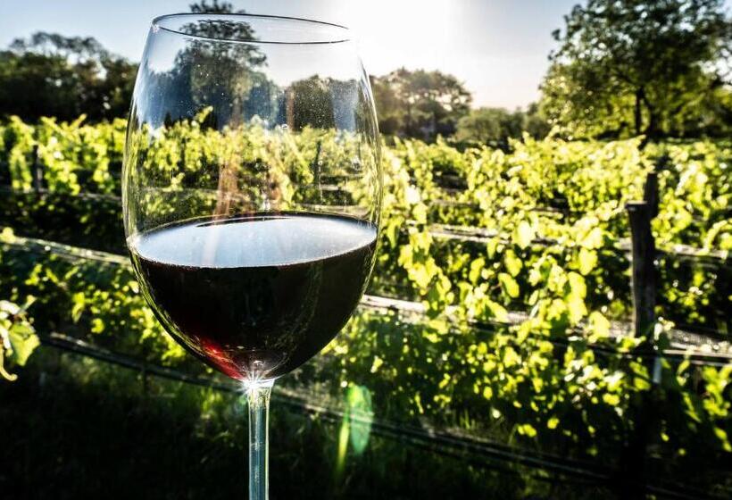 Araoz De Lamadrid Hotel&bodega