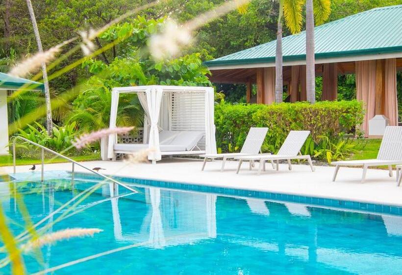 Astra Hotel Boutique