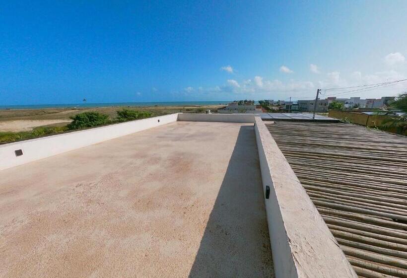 Beach House Cocoon Bed And Breakfast