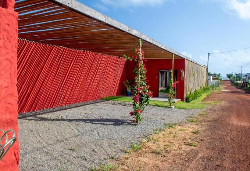 Beach House Cocoon Bed And Breakfast