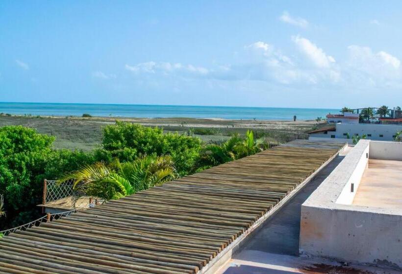 Beach House Cocoon Bed And Breakfast