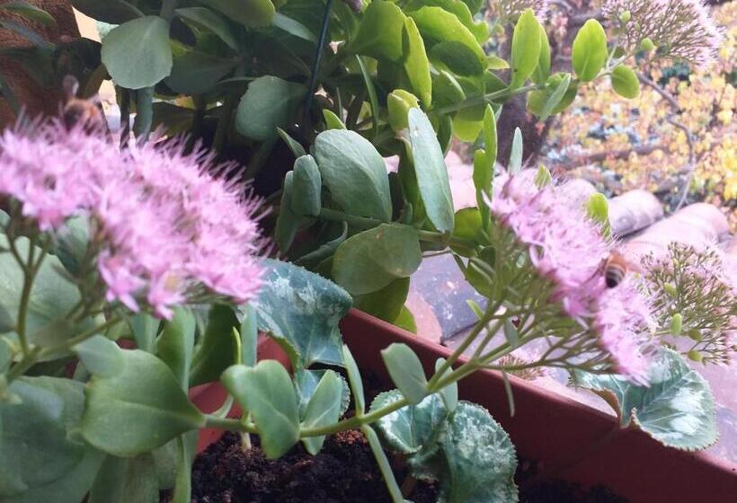 צימר Casa Martini