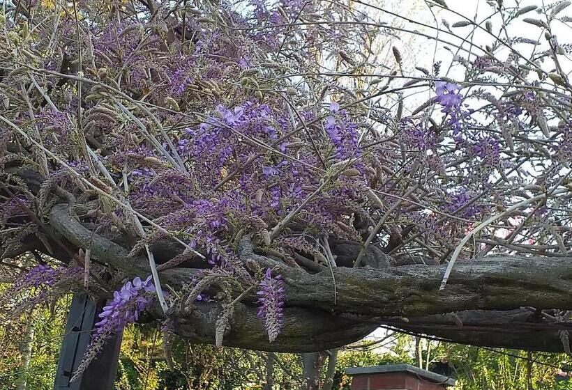 צימר Casa Martini