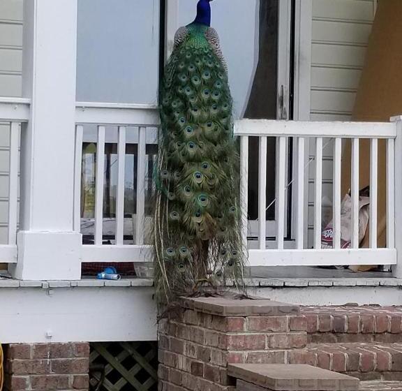 민박 Gloucester House