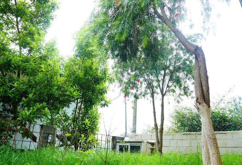 住宿加早餐  Me Time Stay