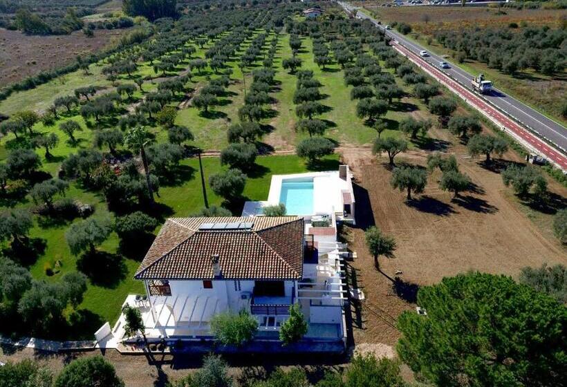 مبيت وإفطار Ollu E Stentu