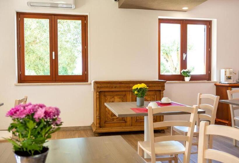 مبيت وإفطار Ollu E Stentu