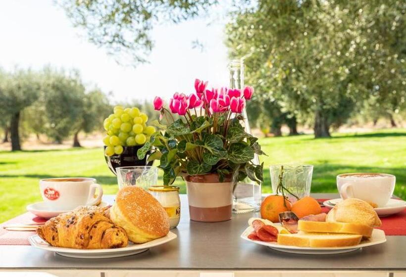 مبيت وإفطار Ollu E Stentu