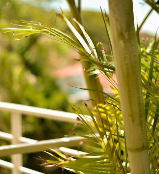 Bed and Breakfast Ponta Amarela Experience