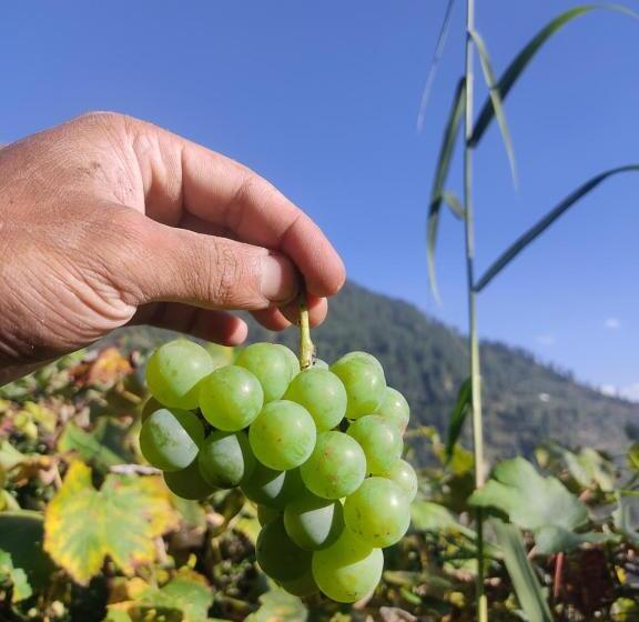 住宿加早餐  Satkar Homestay And Camping Service