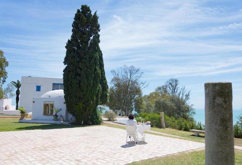 تختخواب و صبحانه Si Brahim Studio Piscine, Sidi Bou Saïd