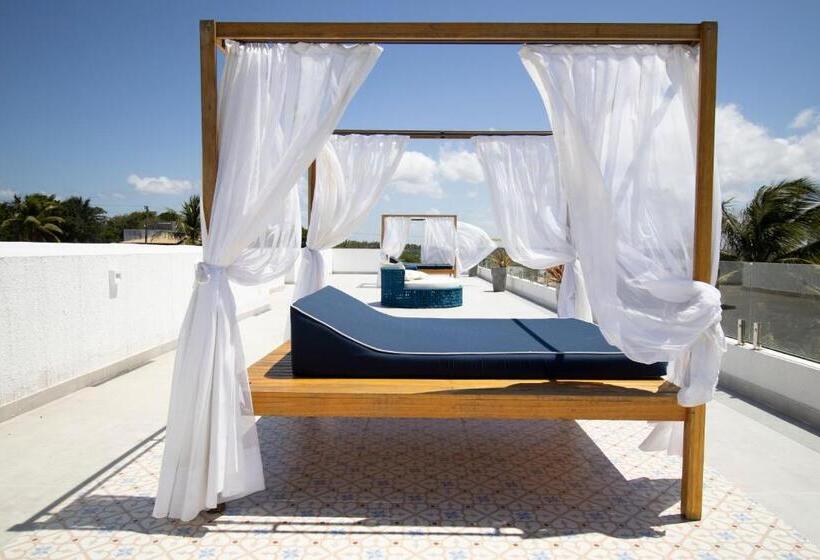 ベッドアンドブレックファースト The View