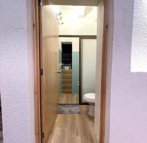 تختخواب و صبحانه Xoco