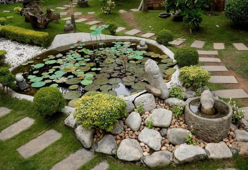 Driftwood Beach Resort