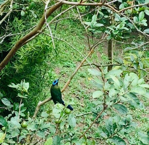 Finca Hotel Calle Jardin