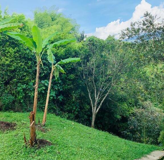 Finca Hotel Calle Jardin