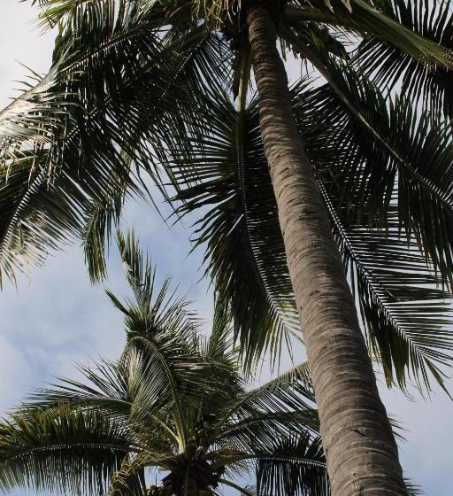 فندق Bungalows Las Tortugas