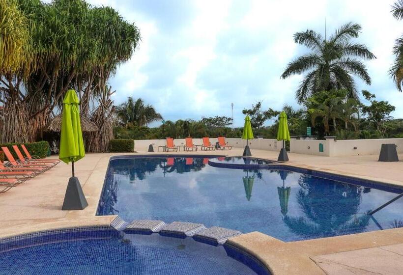 ホテル Del Pacifico Condo C7