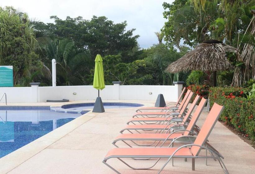 ホテル Del Pacifico Condo C7