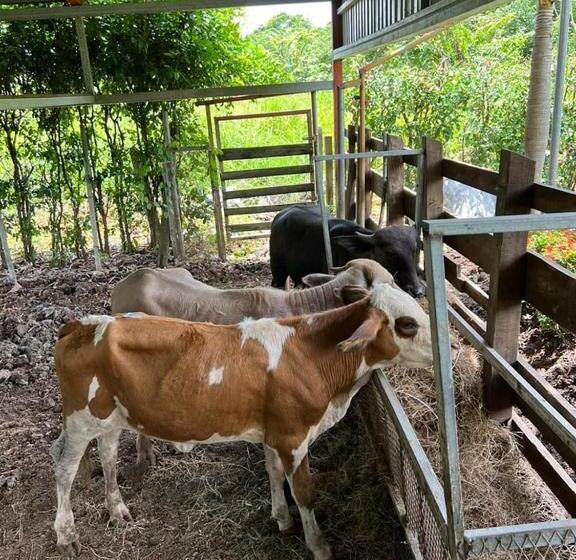 فندق El Rancho De Viejo